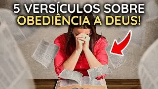 COMO VOC&Ecirc; OBEDECE A DEUS? VERS&Iacute;CULOS SOBRE COMO OBEDECER A DEUS 🙏 | Wellinton Jesus