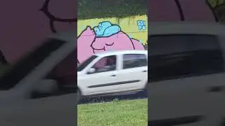 Medellin Murals