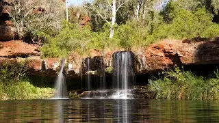 Karijini | Part 1 - Dales Gorge - Fern Pool - Fortescue Falls - Circular Pool