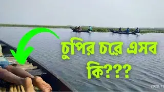 Purbasthali Chupir Char Rs. 250|পূর্বস্থলী চুপি পাখিরালয় ভ্রমণ|Weekend trip,chupir chor purbasthali