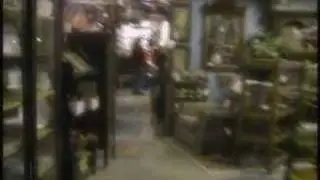 Twilight Evolution 10:  The Antique Store