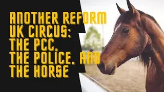 Reform UK Chaos: PCC Questioned Over Putin-Inspired Election Photo