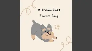 Zoomies Song