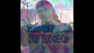 SIRTOM LIVE сушу тело феном