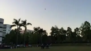 DAL 5045 Triblade propeller /Thrust Testing   DALRC