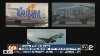 Hidden Airline Fees
