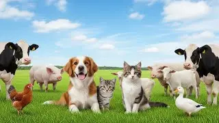 Adorable Animal Sounds Collection Piglet, Chicken, Pig, Monkey, Puppy  Funny Animal Moments