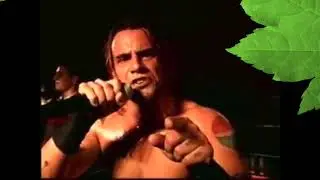 Top 20 ROH Matches of 2003