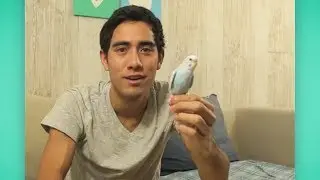 Twitter in Real Life Vine