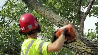 Strathmore Landscape / Arboriculture / Snow and Ice