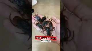 SHE SCREAM! Fake ROACH Prank in Market! #shorts