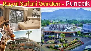 Royal Safari Garden ‼️Hotel kids friendly | Puncak Bogor ‼️