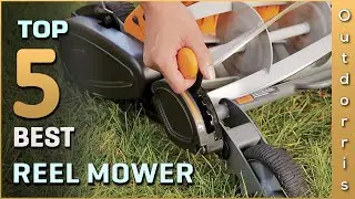 Top 5 Best Reel Mower Review in 2025