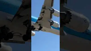 Korean Air Boeing B748-8 new livery landing at KLAX#planespotting #heavyaircraft #boeing747 #korea