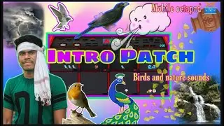 Intro Patch 🐦🦃💦⛈️🏵️🎹// Birds, Peacock, Thunder, Water, Wind etc...// Played on Mobile octapad SPD-Sx