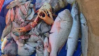 Подводная охота и приключения: поймали огромного барауна и барракуду! 🎣🦈 #рыбалка #океан