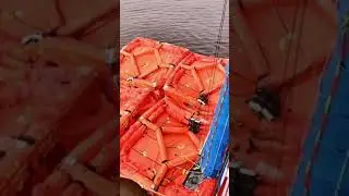 Offshore Safety Equipment Videos || #shorts