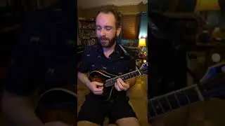 Breath of the Wild- Horse Day theme (Folk Edition)