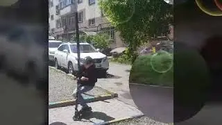 DT #1 (ПРОФАЙЛЫ)