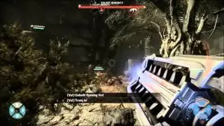 What Happened to DarkWorldMOFO?