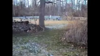 Ticking Tomb Stone