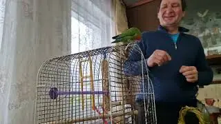Как и где живёт Кеша ?