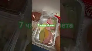 Чем кормят а/к SCAT пассажиров рейс Сеул-Астана 26 августа #SCAT#travel