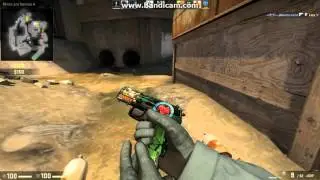 5headshots with p2000 pulse stat trak lel