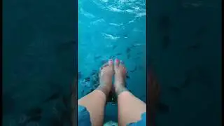 Fish Pedicure || Fish spa || Pedicure feet care #fishspa #fishpedicure #healthylifestyle #feetcare