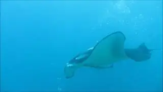 Mantas Madivaru South Ari 5-2017