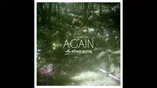 the shes gone「何者」official audio