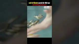 Amazing Science Behind Throwing Coins In The River #shorts