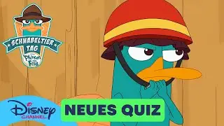 Wer hat's geschnabelt? | Der Schnabeltier Tag