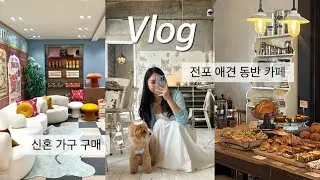 Vlog | 신혼 가구 투어하고 구매(에싸 소파, 시몬스 침대), 강아지 생일 파티하고 전포 애견 동반 카페 가기🐶