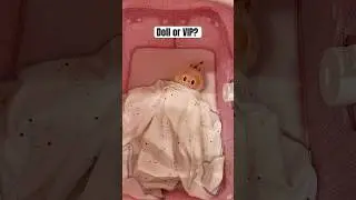 Labubu in the Strollers