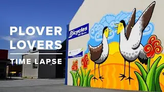 Plover Lovers Time Lapse