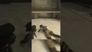 Tactical Pet - Servo-Skull
