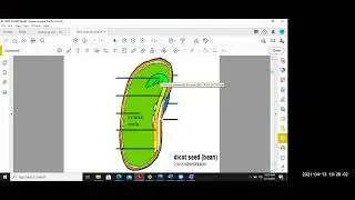 Seeds, Seeding, and Seed Treatments