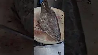 Most Big  Famous Giant Grouper Fish Cleaning Skills#shorts