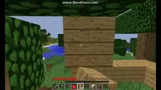 Adventure in mine craft.