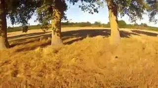 Entrainement slalom Zigogne Darkbolt 230 mode angle (stabilis&eacute;)