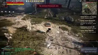 BDO // BLACK DESERT // ROAD TO 261AP // немного дневника И.Бартелли