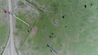 initial buffalo tracking