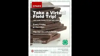 Chocolate Factory Virtual Field Trip