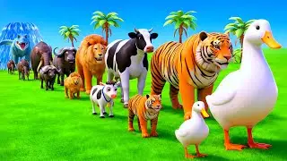Long Slide Game With Cow Elephant Gorilla Hippopotamus Tiger 3d Animal Game Funny 3d Animals
