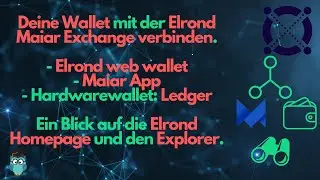 Elrond: Maiar Exchange connect mit Web Wallet, Ledger oder Maiar App. Elrond Explorer Erkl&auml;rung.