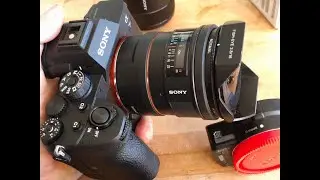 Sony LA-EA5 on A7r4 and 16mm f2.8 fisheye