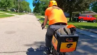 Man delivers coffee with his pug