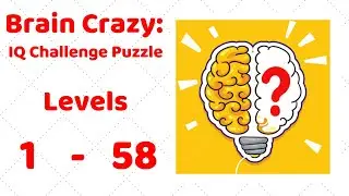 Brain Crazy: IQ Challenge Puzzle Level 1-58 Walkthrough Solution