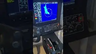 TBM 900 aircraft home simulator